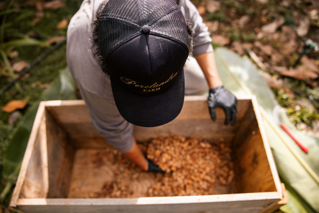 From Bean to Bar: The Art of Crafting Chocolate on the Hawaiian Islands