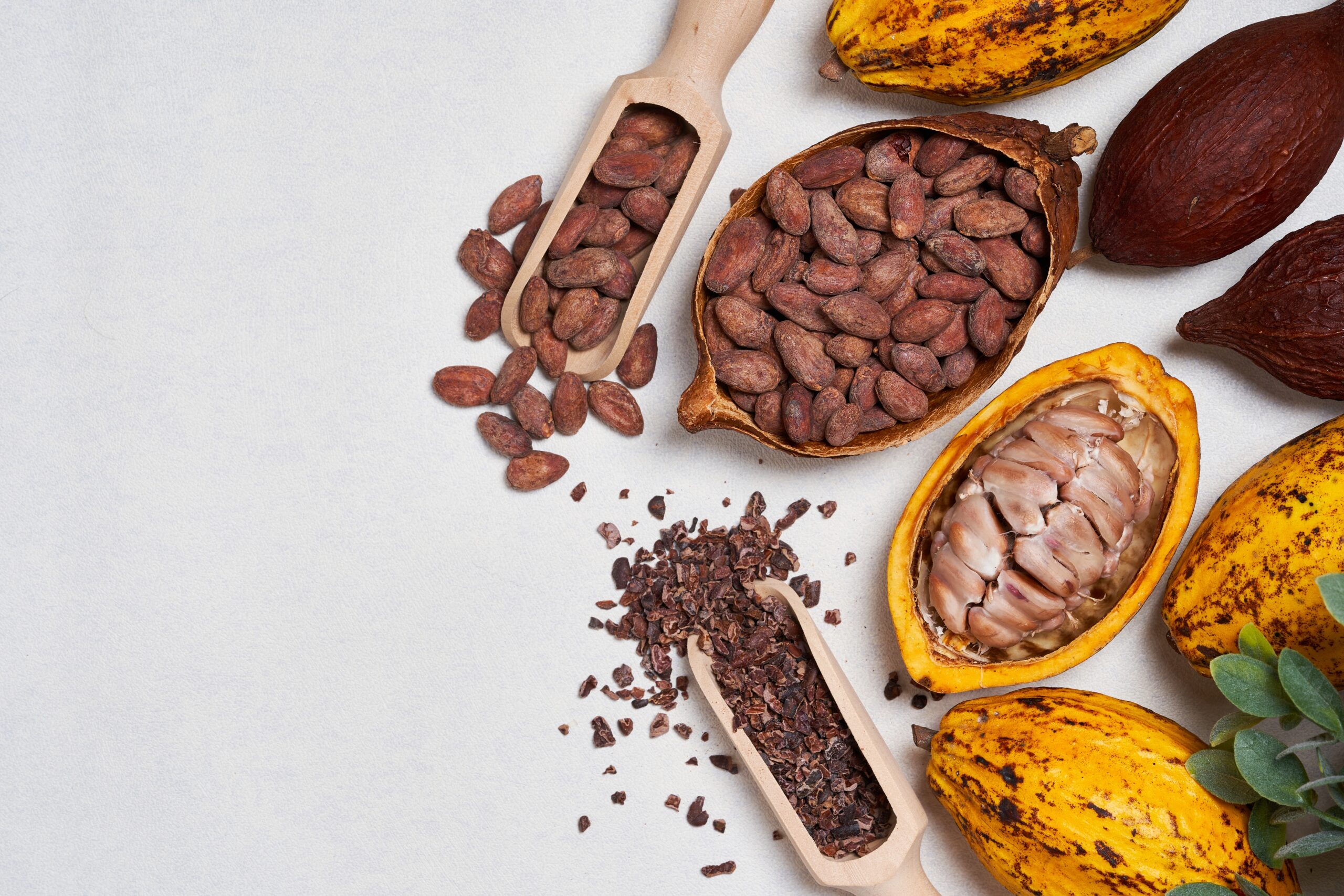 The Rise of Craft Chocolate: Why Small Farms Like Perelandra Are Leading the Way